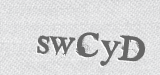 CAPTCHA code