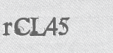 CAPTCHA code