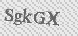 CAPTCHA code