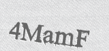 CAPTCHA code