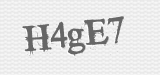 CAPTCHA code