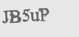 CAPTCHA code