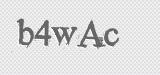 CAPTCHA code