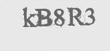 CAPTCHA code