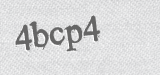 CAPTCHA code