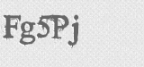 CAPTCHA code