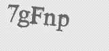 CAPTCHA code