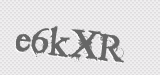 CAPTCHA code