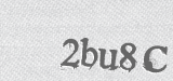 CAPTCHA code