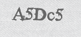 CAPTCHA code