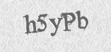 CAPTCHA code