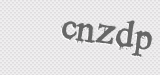 CAPTCHA code