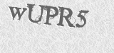 CAPTCHA code