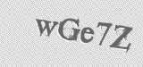 CAPTCHA code