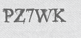 CAPTCHA code