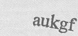 CAPTCHA code
