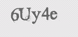 CAPTCHA code