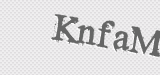 CAPTCHA code