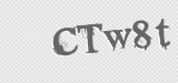 CAPTCHA code