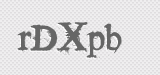 CAPTCHA code