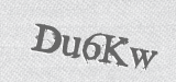 CAPTCHA code
