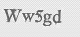 CAPTCHA code