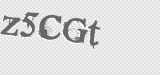 CAPTCHA code