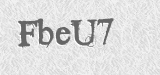 CAPTCHA code