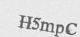 CAPTCHA code