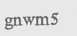 CAPTCHA code
