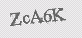 CAPTCHA code