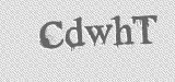 CAPTCHA code