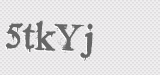 CAPTCHA code
