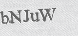 CAPTCHA code