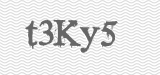 CAPTCHA code