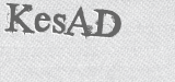 CAPTCHA code