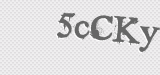 CAPTCHA code