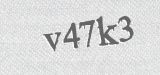 CAPTCHA code