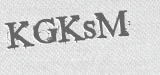 CAPTCHA code