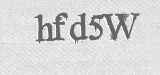 CAPTCHA code