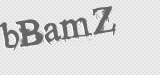 CAPTCHA code