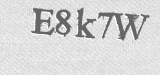 CAPTCHA code