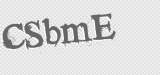 CAPTCHA code