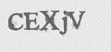 CAPTCHA code