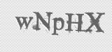 CAPTCHA code