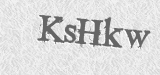 CAPTCHA code