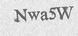 CAPTCHA code
