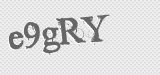 CAPTCHA code