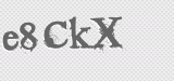 CAPTCHA code