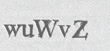 CAPTCHA code